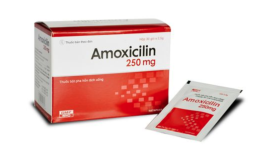 Amoxicillin 250Mg Vdp (Hộp 10 vỉ x 10 viên) (F)