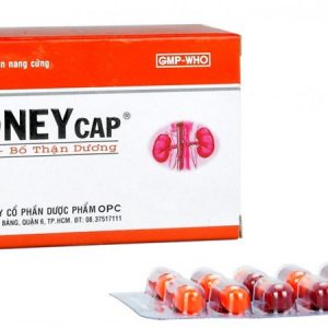 Kidneycap - Viên Uống Bổ Thận Dương (5 vỉ x 10 viên)