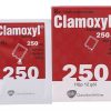 Clamoxyl 250 hộp 12 gói Gsk