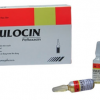 AFULOCIN (Hộp 5 ống x 5 ml)